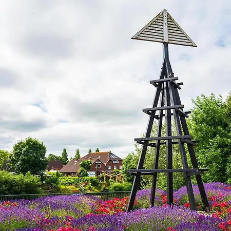 Ferienhaus-klippenbarsch *