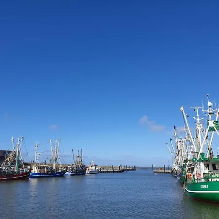 Dom wakacyjny Ferienhaus-klippenbarsch *